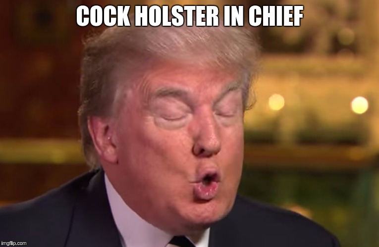 Cock Holster In Chief.jpg